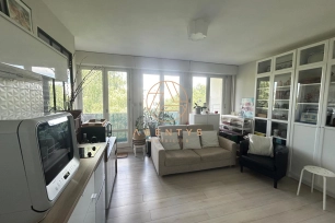 Appartement à vendre 1 pièces de 29,06 m² à Nogent-sur-Marne