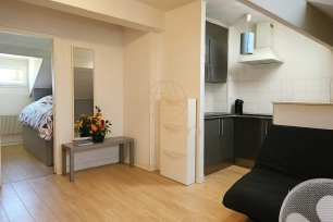 Appartement à vendre 2 pièces de 25,77 m² à Champigny-sur-Marne