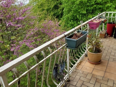 Appartement à vendre 3 pièces de 69 m² à Chennevières-sur-Marne