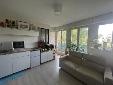 Appartement à vendre 1 pièces de 29,06 m² à Nogent-sur-Marne