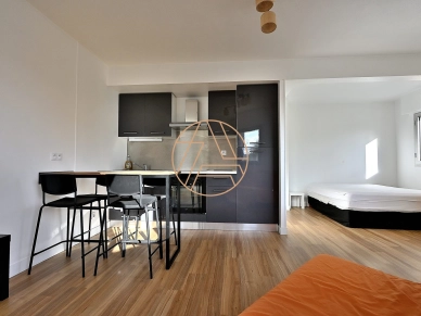 Appartement à vendre 1 pièces de 30,41 m² à Saint-Maur-des-Fossés