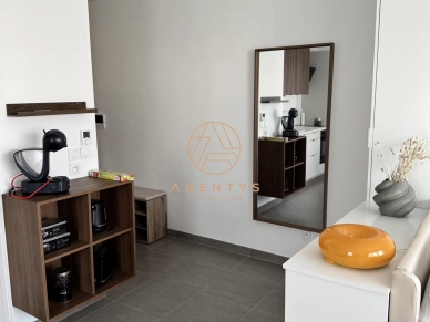 Appartement loué 1 pièces de 39,36 m² à Émerainville