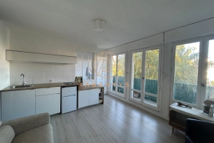 Appartement à vendre 2 pièces de 29,06 m² à Nogent-sur-Marne