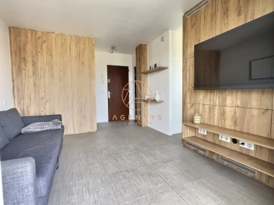 Appartement à louer 1 pièces de 23,57 m² à Saint-Maur-des-Fossés